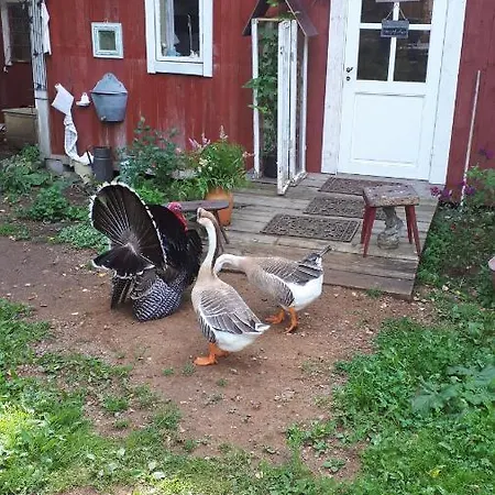 Elaemysmajoitusta Tortinmaeki Koljola
